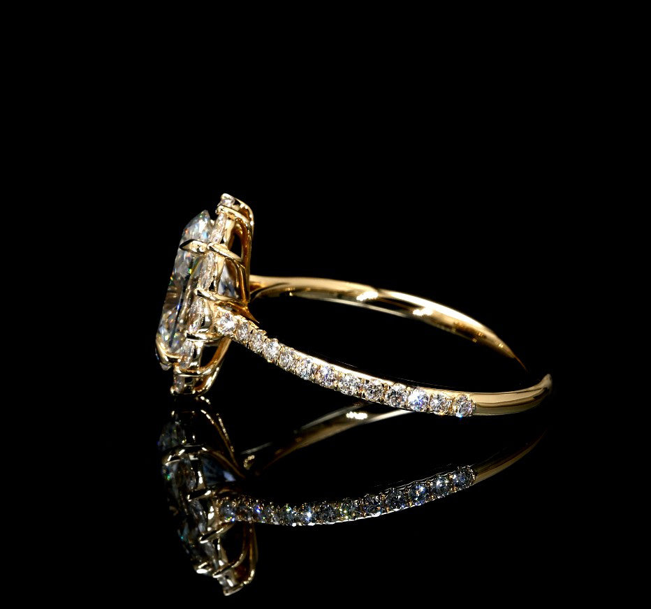 LR2008B - Image 4