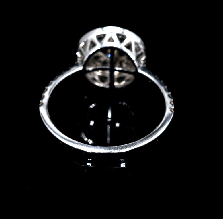 SLR-59 - Image 6