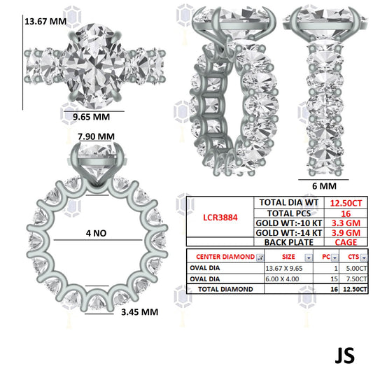 Custom Platinum ring with 12.50 carat diamond VVS2 f color Payments