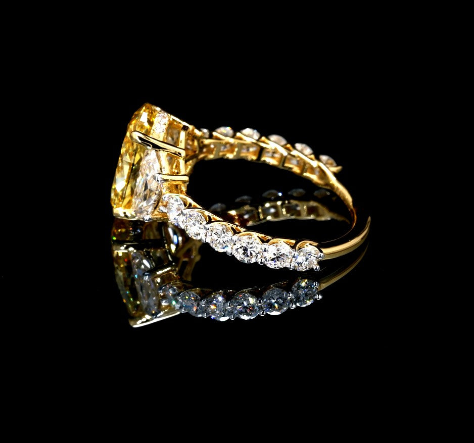 LR2022 - Image 3