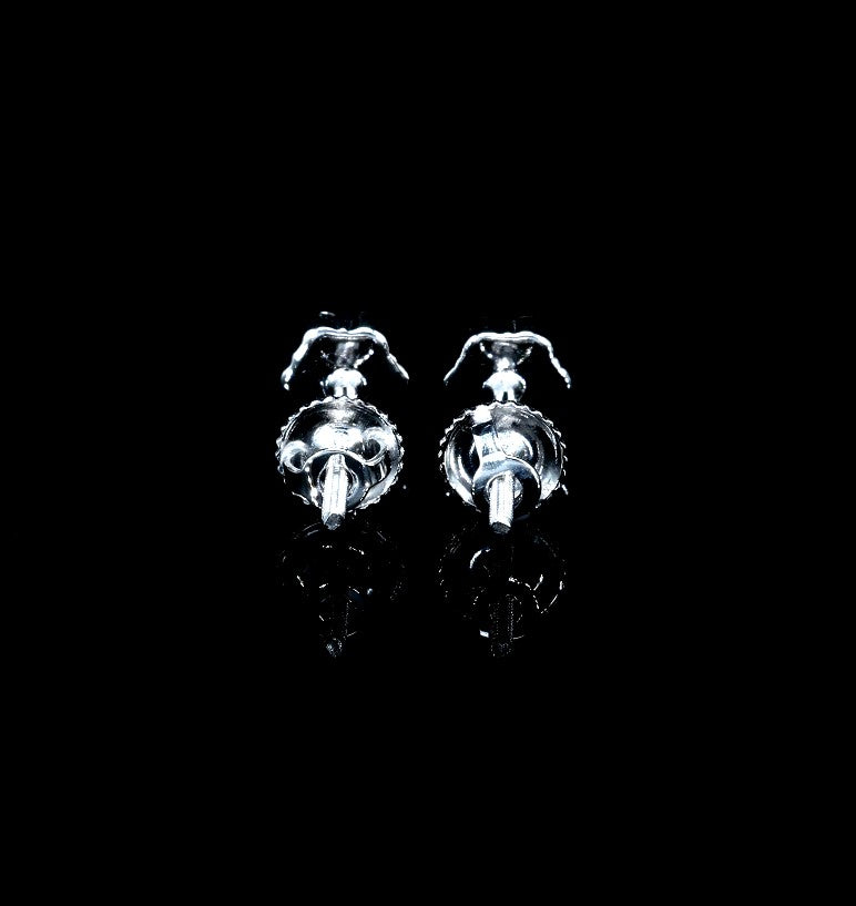 SER-1 - Image 3